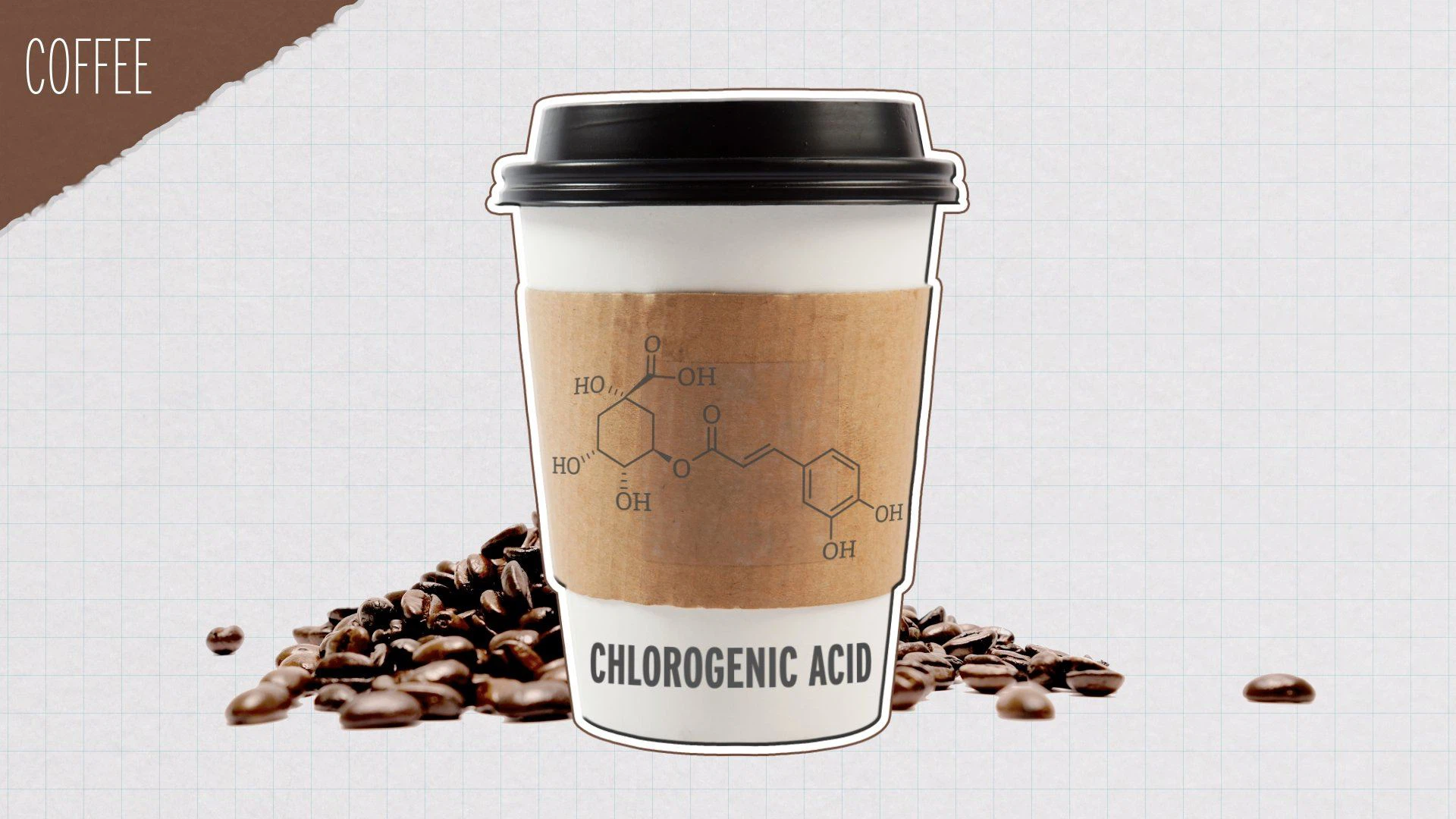 chlorogenic acid supplier chlorogenic acid supplier