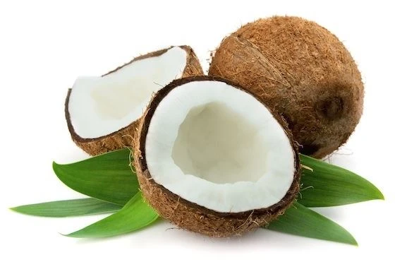 coconut protein extract powder raw material